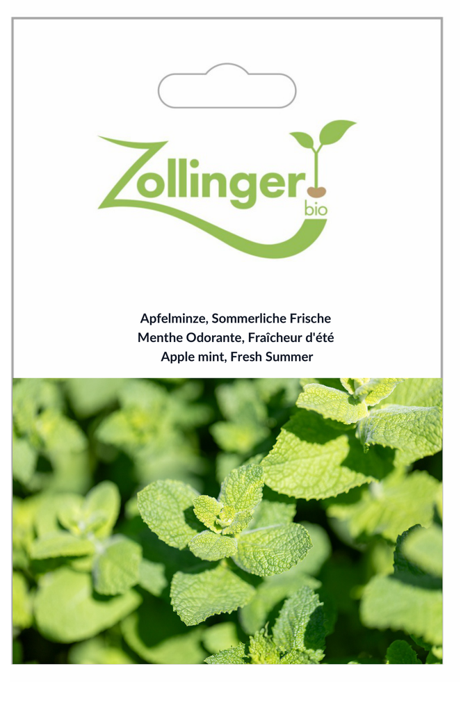 Sachet recto Menthe Odorante, Fraîcheur d'été