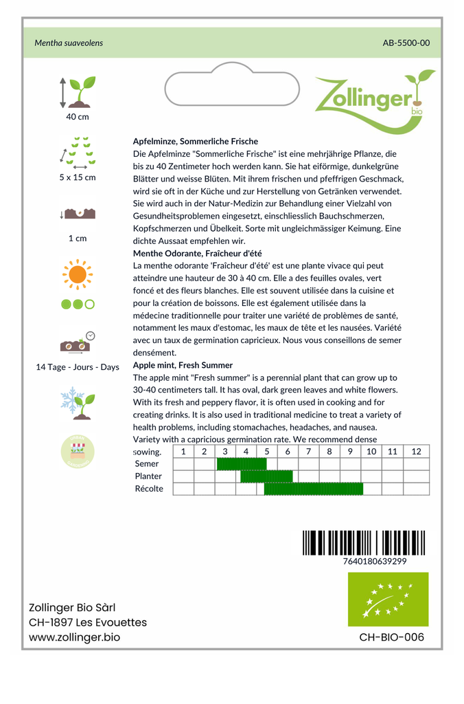 Sachet recto Menthe Odorante, Fraîcheur d'été