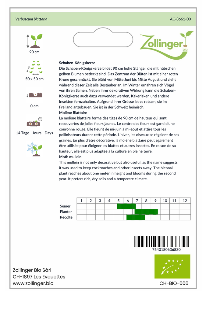 Sachet recto Molène Blattaire