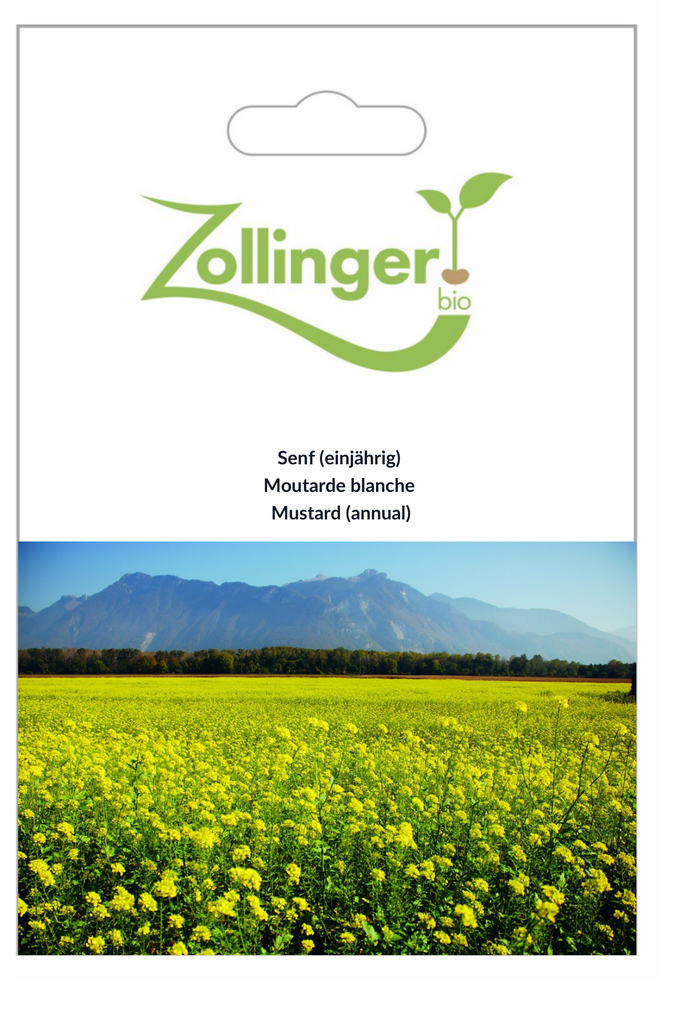 Sachet recto Moutarde blanche