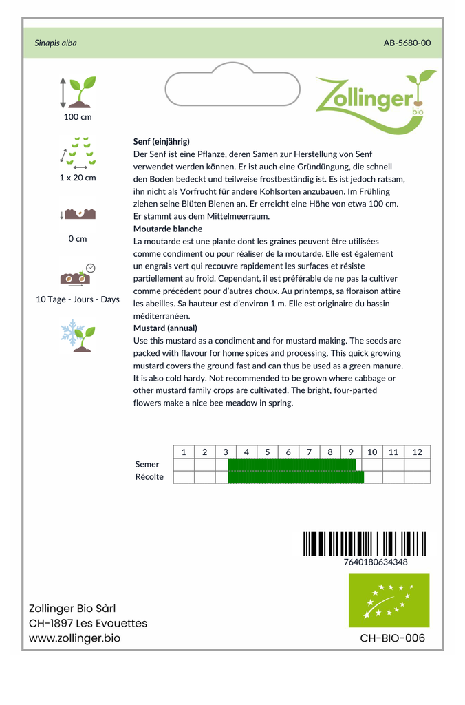 Sachet recto Moutarde blanche