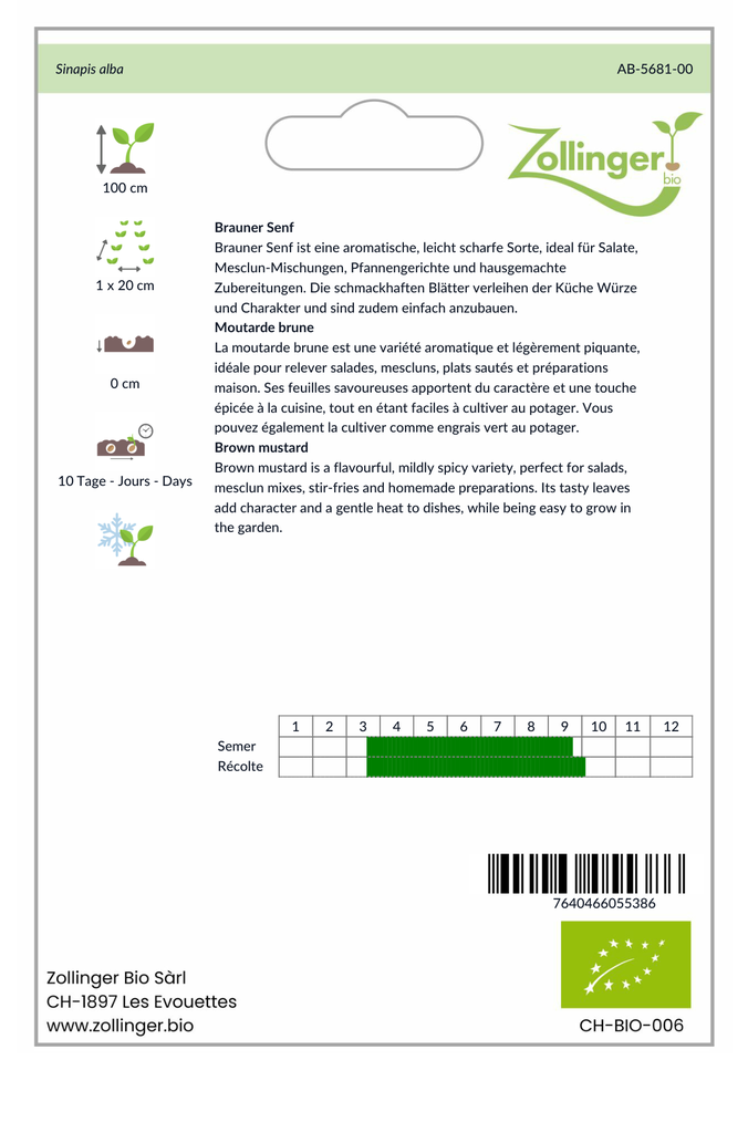 Sachet recto Moutarde brune