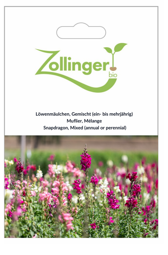 Sachet recto Muflier, Mélange