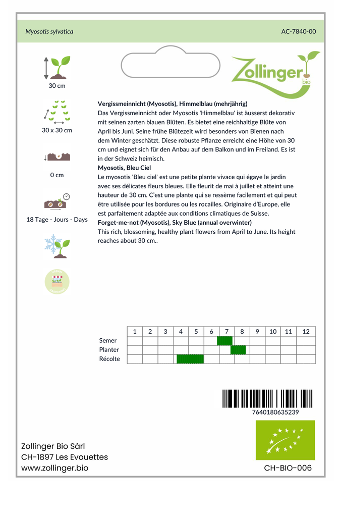 Sachet recto Myosotis, Bleu Ciel