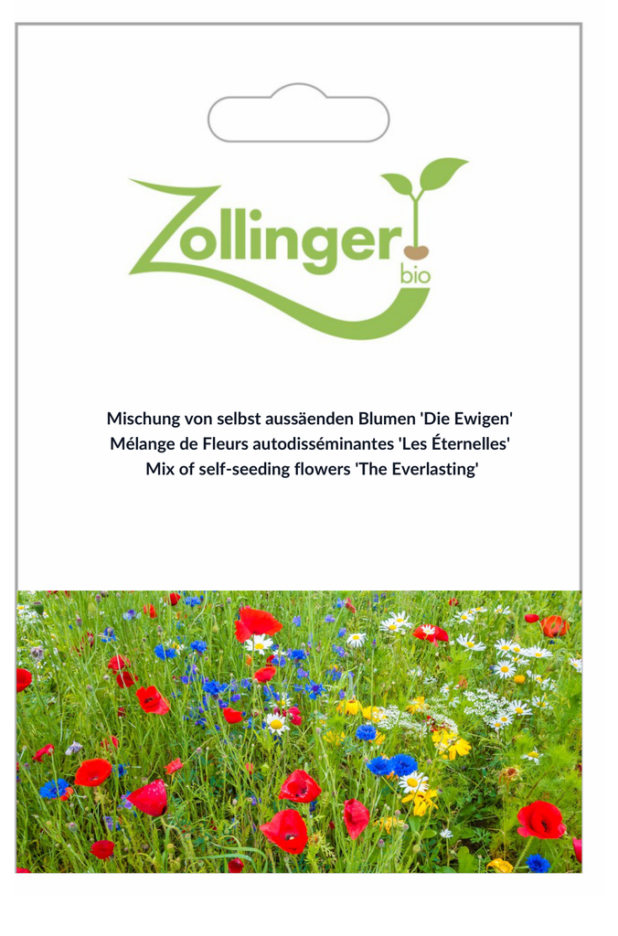 Sachet recto Mélange de Fleurs autodisséminantes 'Les Éternelles'