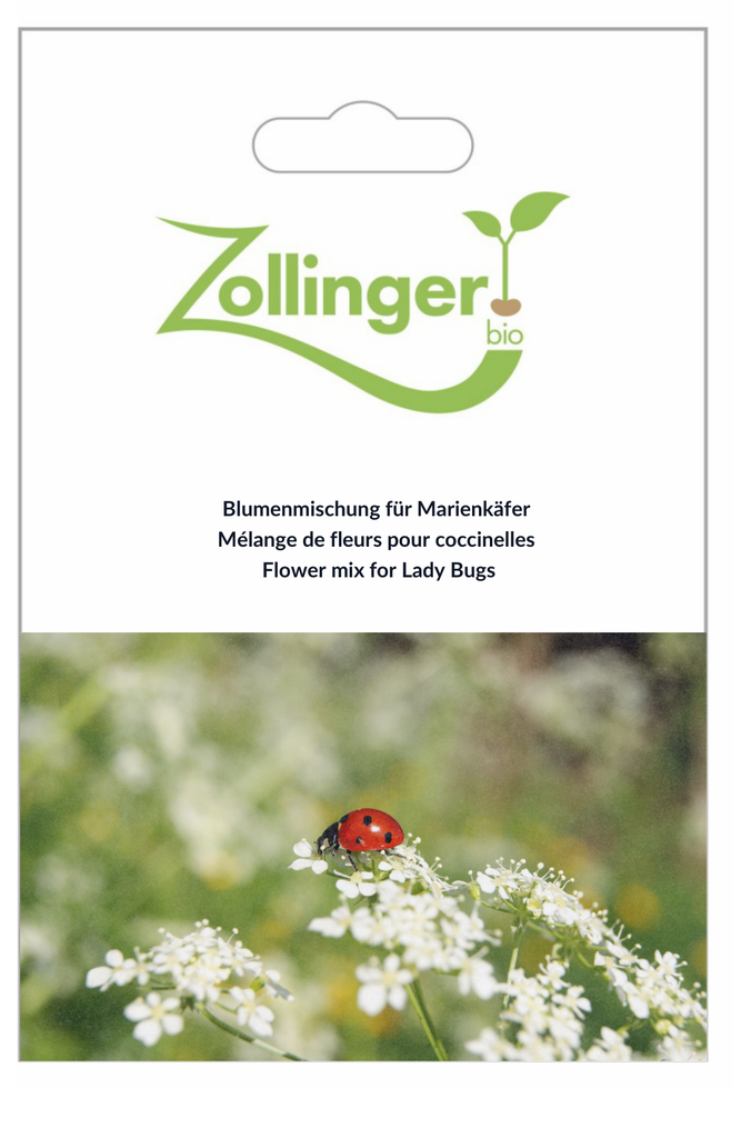 Sachet recto Mélange de fleurs pour coccinelles
