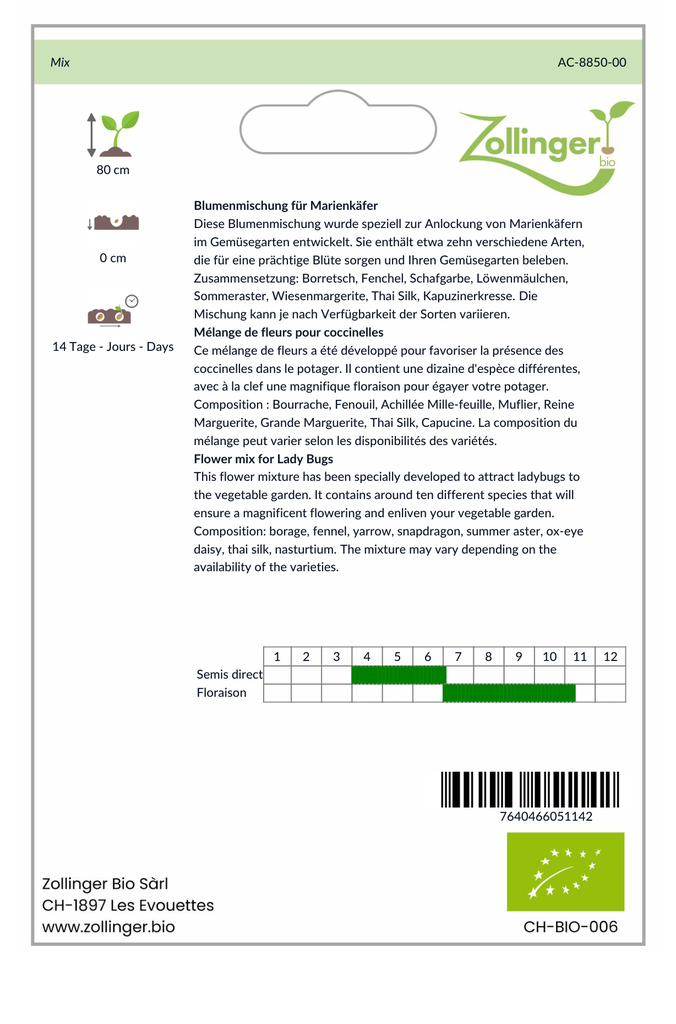 Sachet recto Mélange de fleurs pour coccinelles