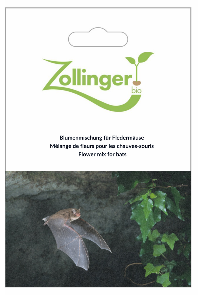 Sachet recto Mélange de fleurs pour les chauves-souris
