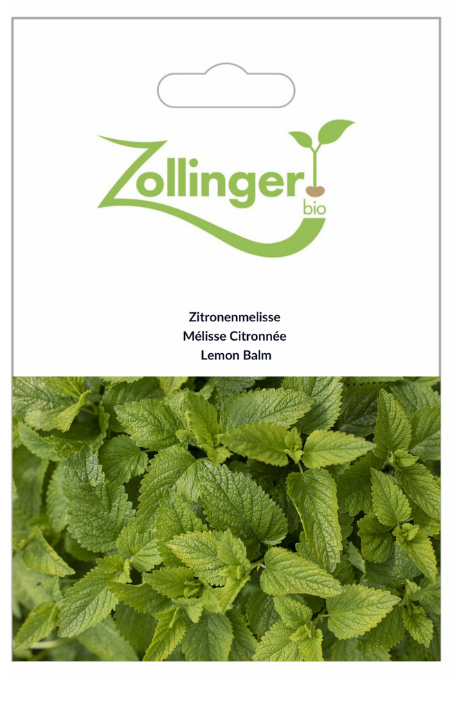 Sachet recto Mélisse Citronnée