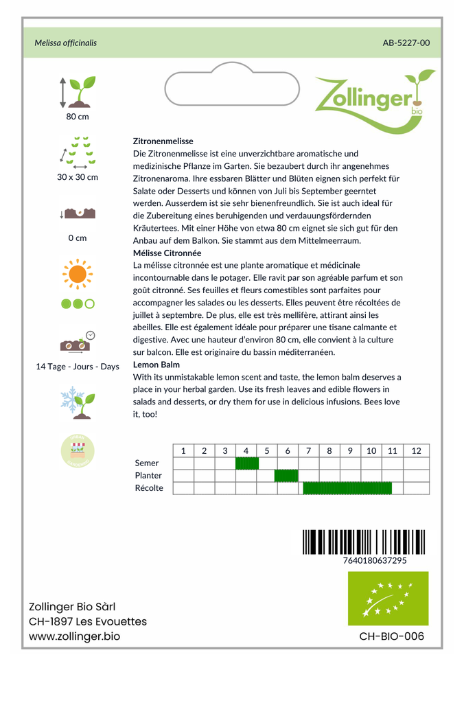 Sachet recto Mélisse Citronnée