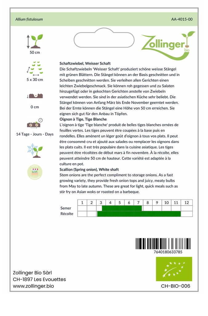 Sachet recto Oignon à Tige, Tige Blanche