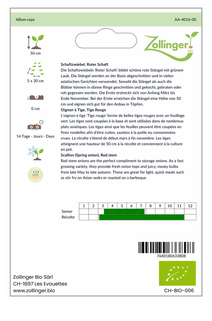 Sachet recto Oignon à Tige, Tige Rouge