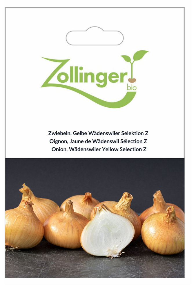 Sachet recto Oignon, Jaune de Wädenswil Sélection Z