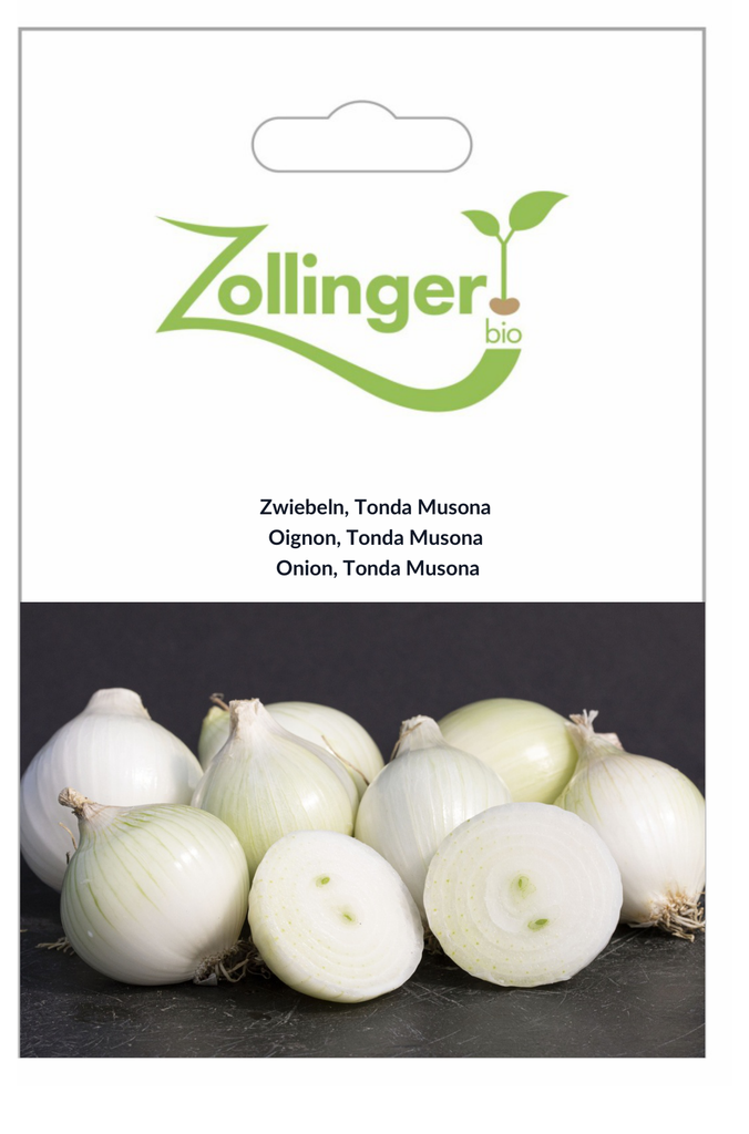 Sachet recto Oignon, Tonda Musona