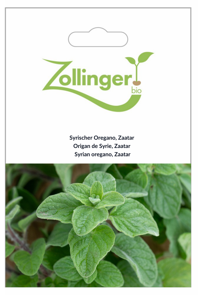 Sachet recto Origan de Syrie, Zaatar