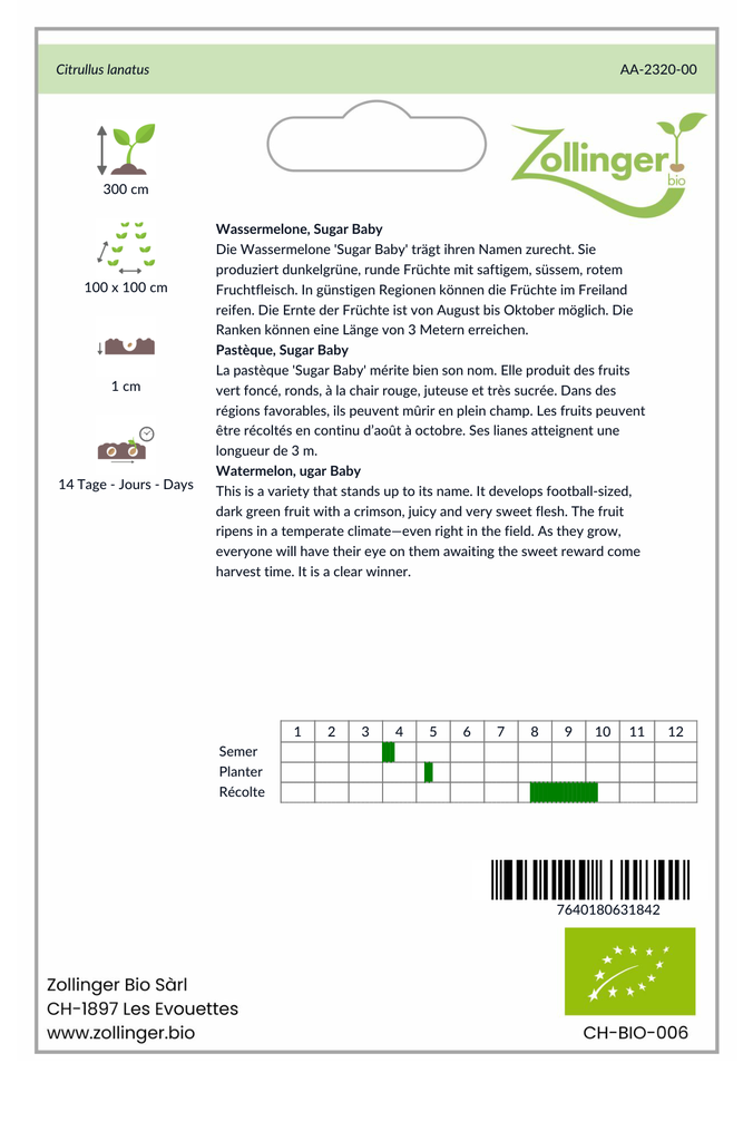 Sachet recto Pastèque, Sugar Baby