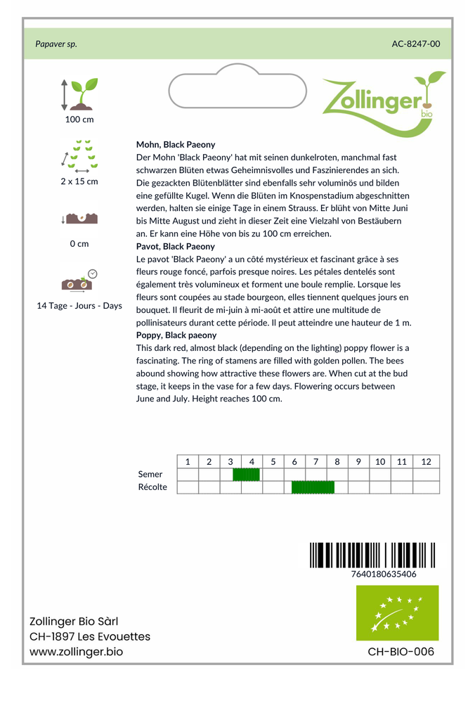 Sachet recto Pavot, Black Paeony