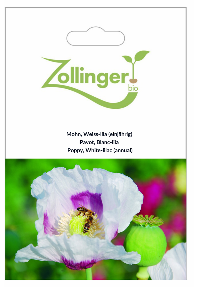 Sachet recto Pavot, Blanc-lila