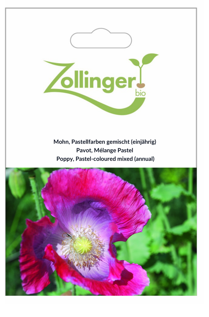 Sachet recto Pavot, Mélange Pastel