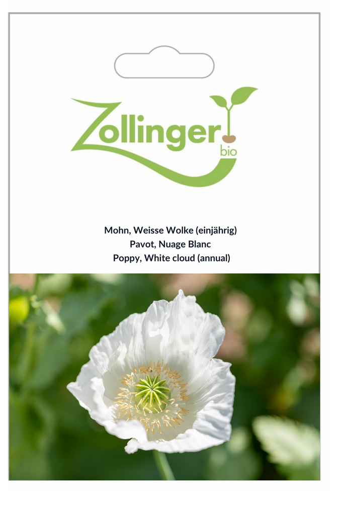 Sachet recto Pavot, Nuage Blanc