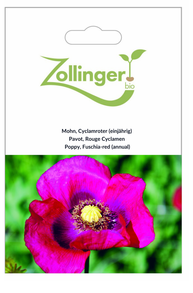 Sachet recto Pavot, Rouge Cyclamen