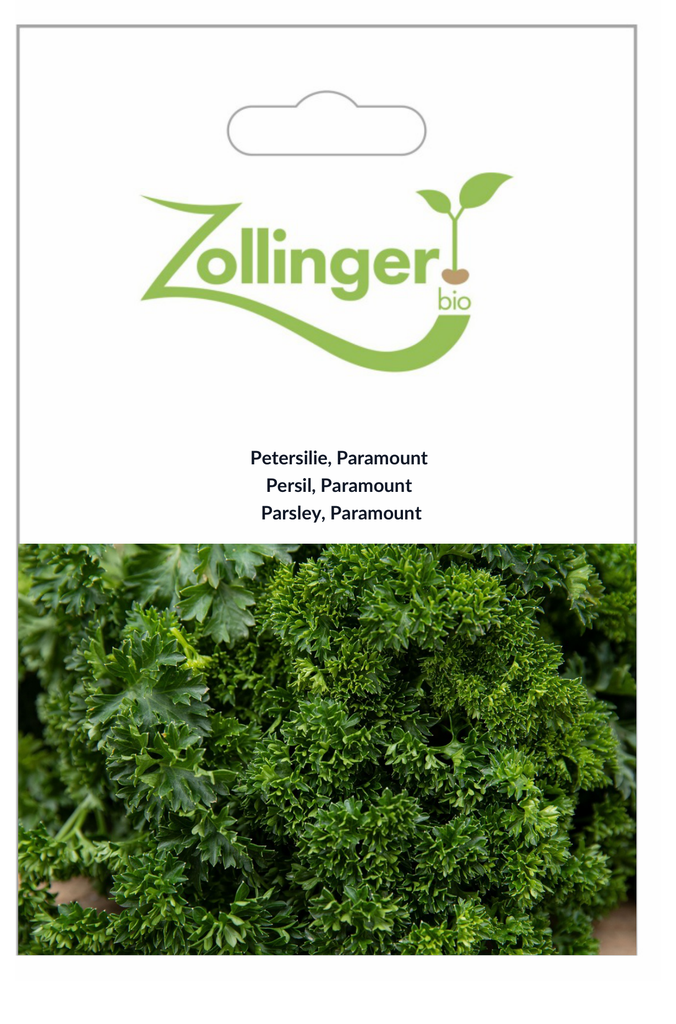 Sachet recto Persil, Paramount