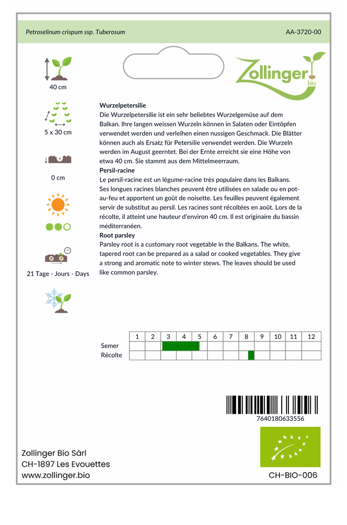 Sachet recto Persil-racine