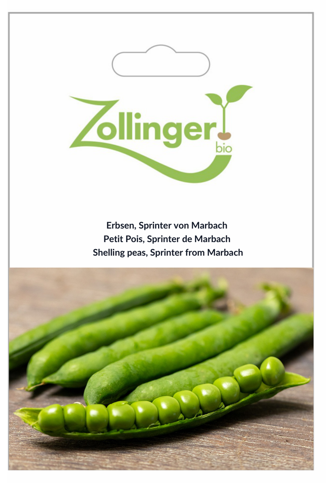 Sachet recto Petit Pois, Sprinter de Marbach