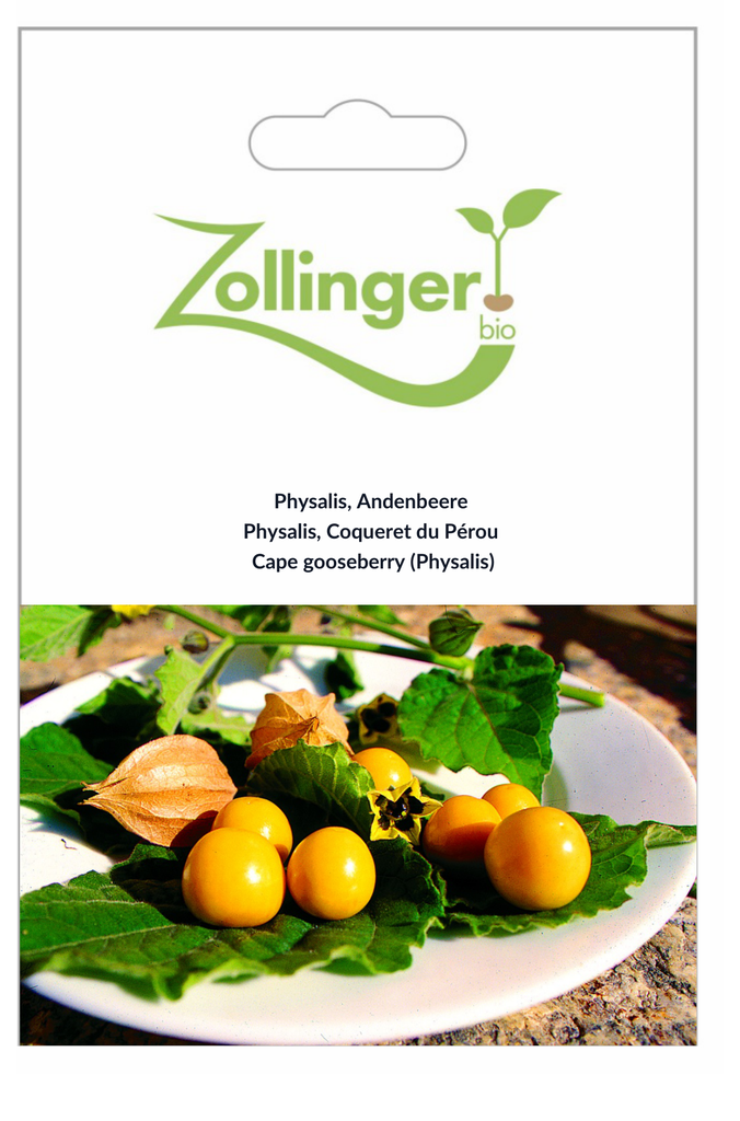 Sachet recto Physalis, Coqueret du Pérou