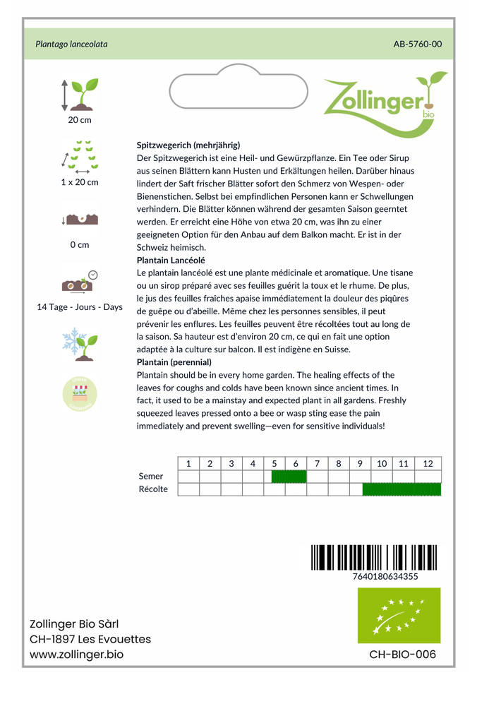 Sachet recto Plantain Lancéolé