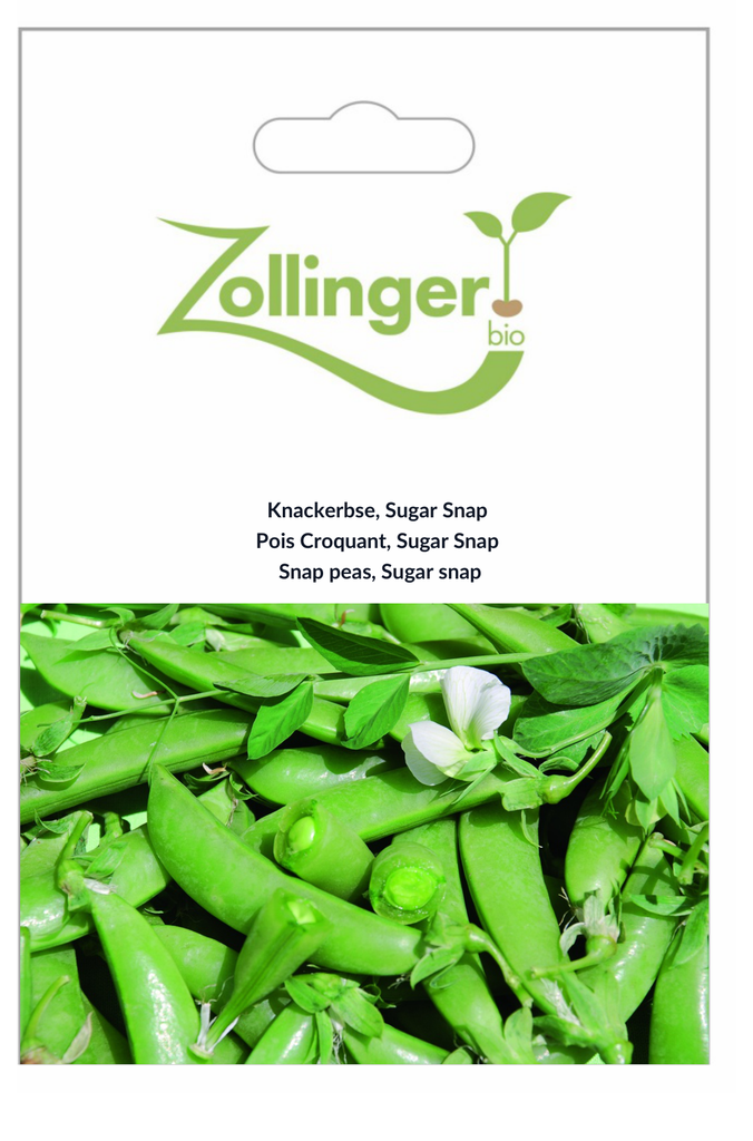 Sachet recto Pois Croquant, Sugar Snap