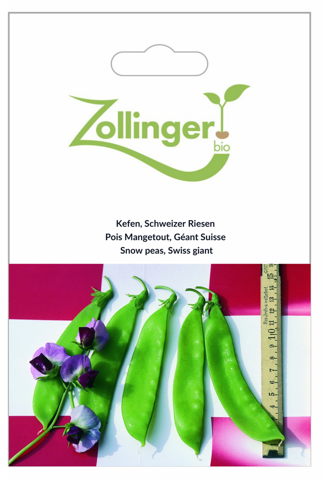 Sachet recto Pois Mangetout, Géant Suisse