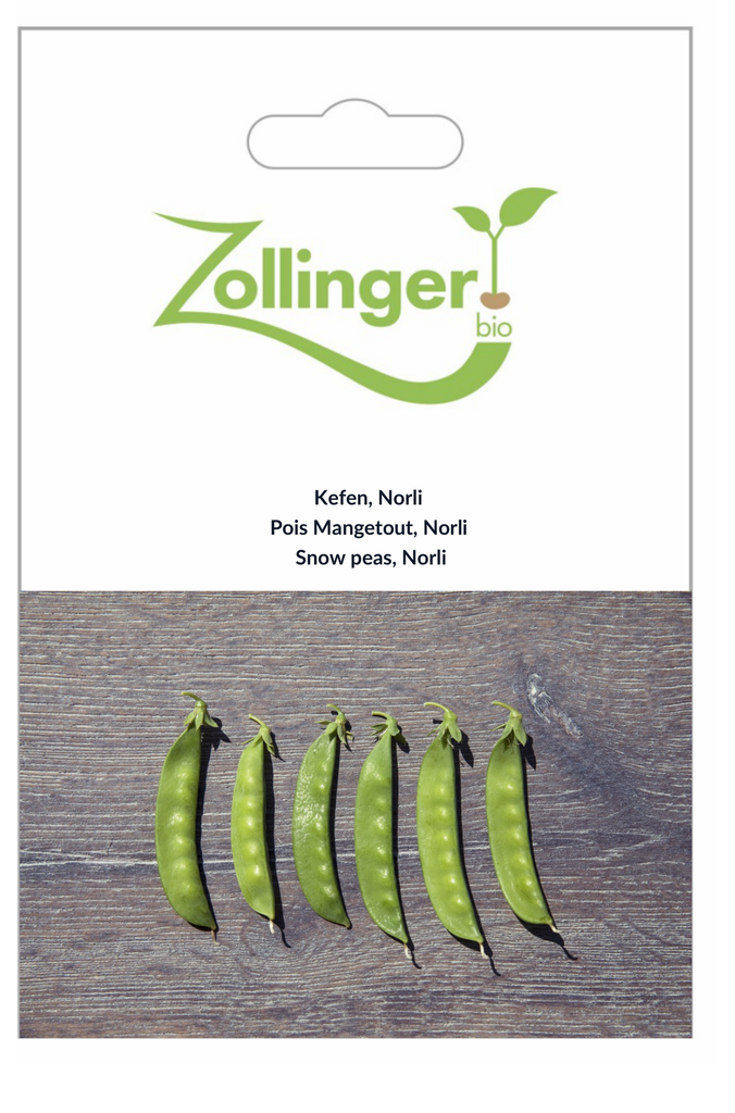 Sachet recto Pois Mangetout, Norli