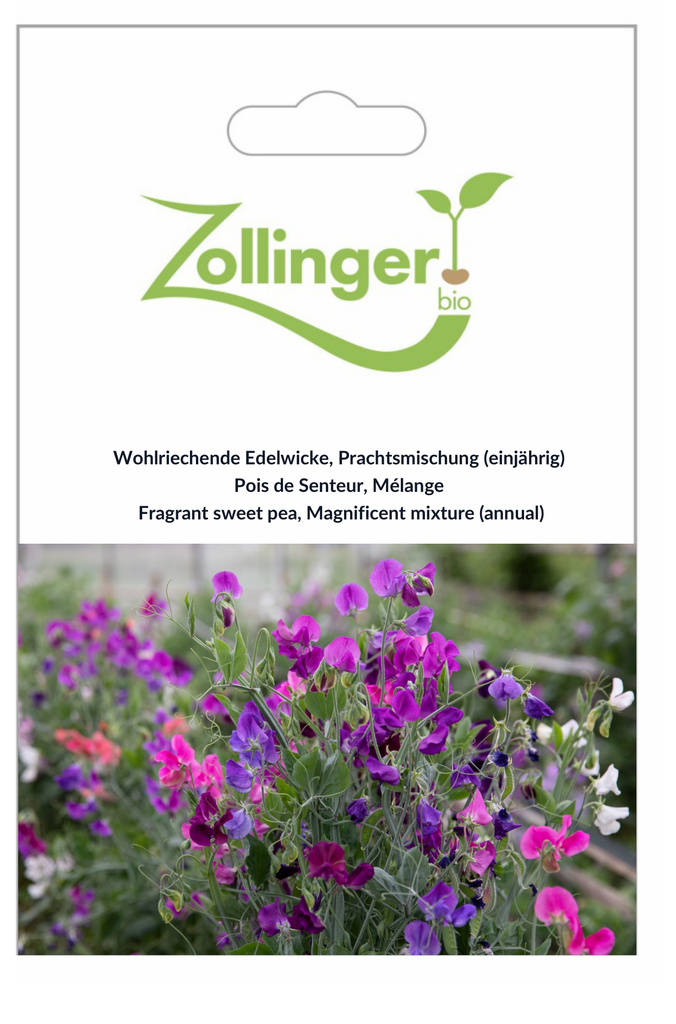 Sachet recto Pois de Senteur, Mélange