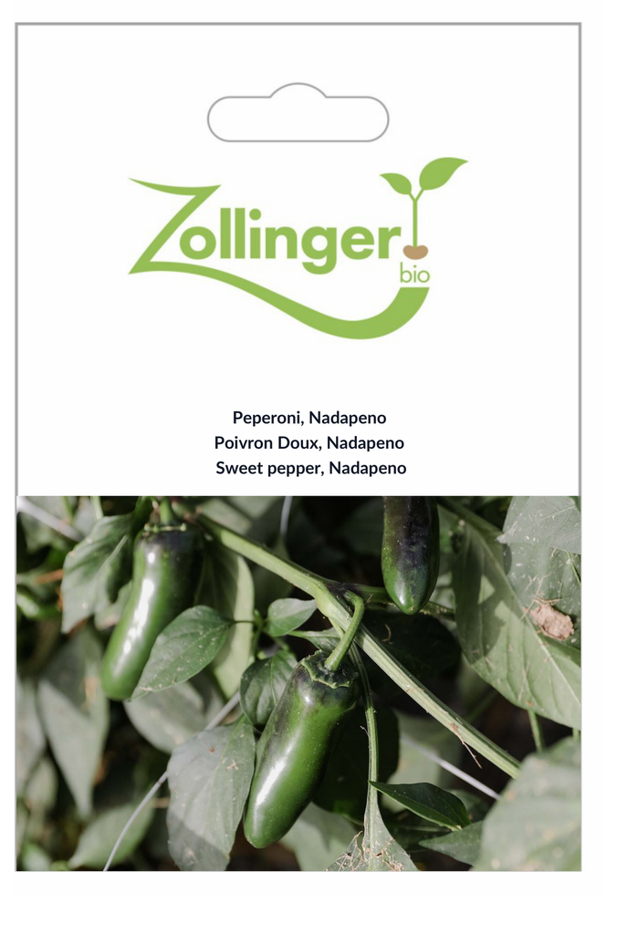 Sachet recto Poivron Doux, Nadapeno