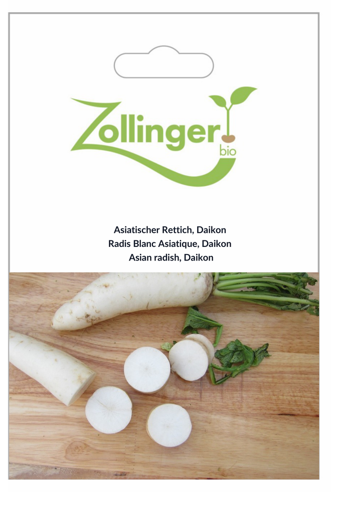 Sachet recto Radis Blanc Asiatique, Daikon