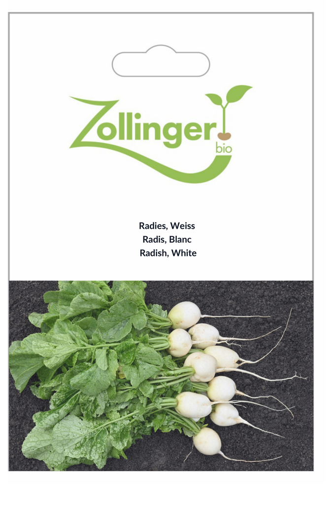 Sachet recto Radis, Blanc