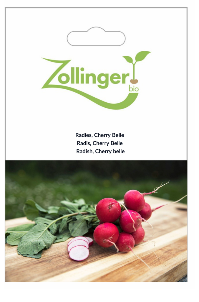 Sachet recto Radis, Cherry Belle