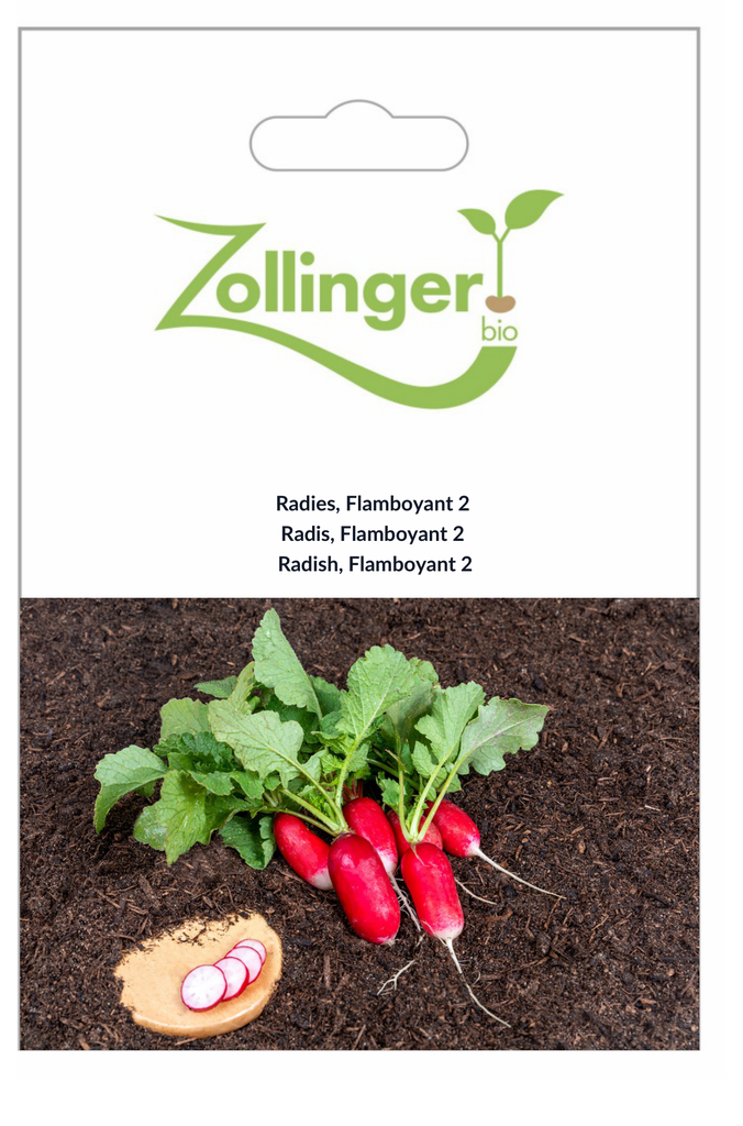 Sachet recto Radis, Flamboyant 2