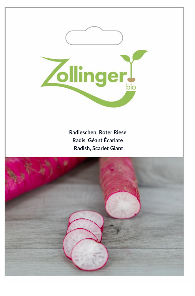 Sachet recto Radis, Géant Écarlate
