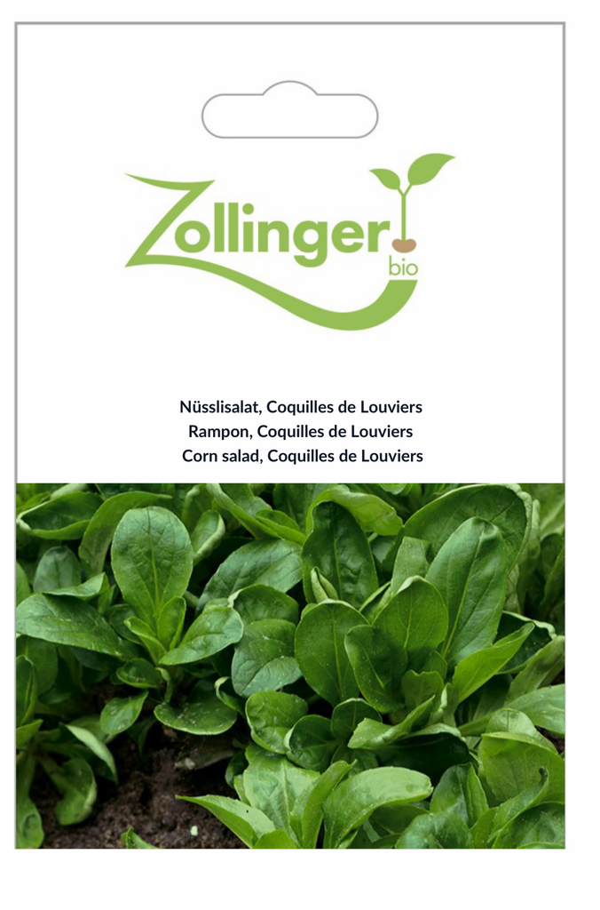 Sachet recto Rampon, Coquilles de Louviers