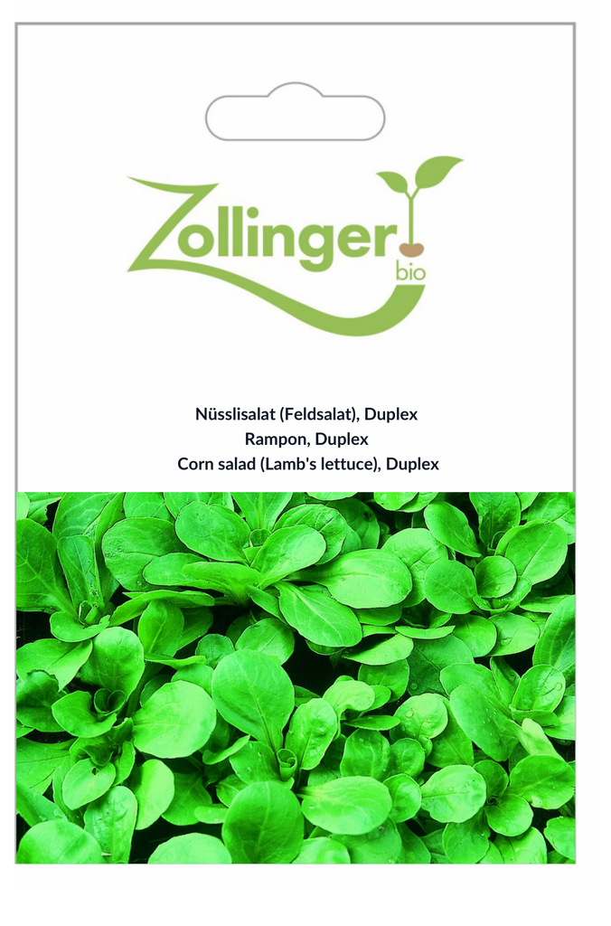 Sachet recto Rampon, Duplex