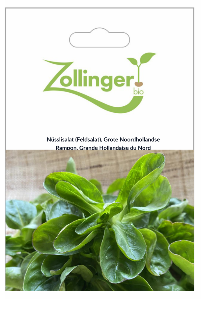 Sachet recto Rampon, Grande Hollandaise du Nord