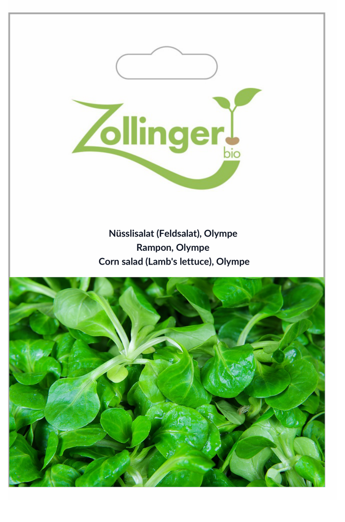 Sachet recto Rampon, Olympe