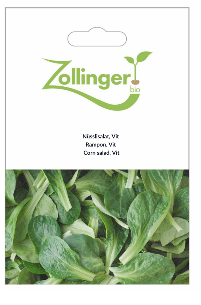 Sachet recto Rampon, Vit