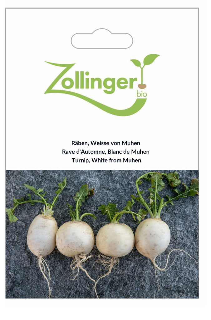 Sachet recto Rave d'Automne, Blanc de Muhen