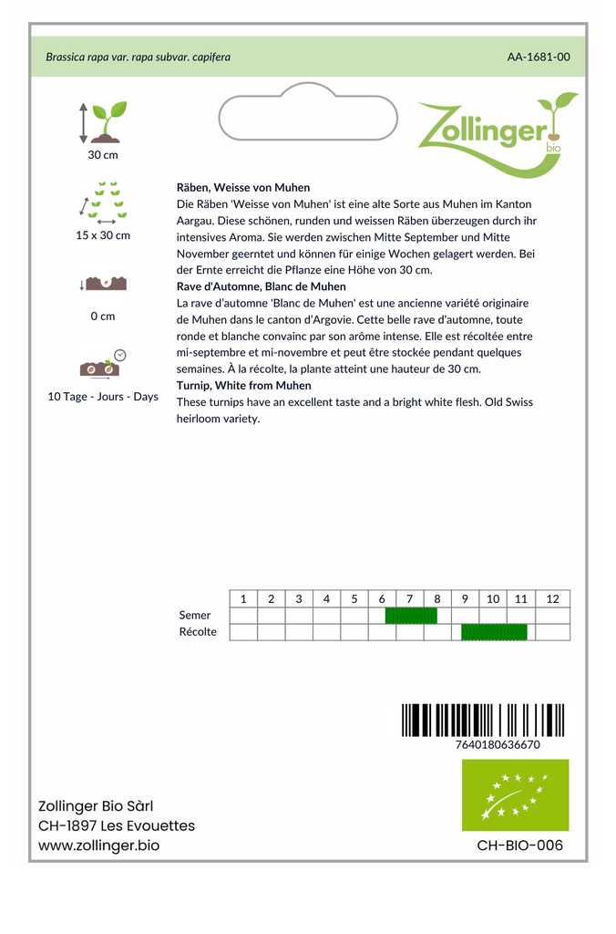 Sachet recto Rave d'Automne, Blanc de Muhen