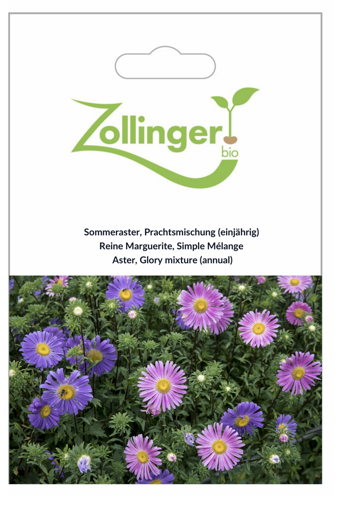 Sachet recto Reine Marguerite, Simple Mélange