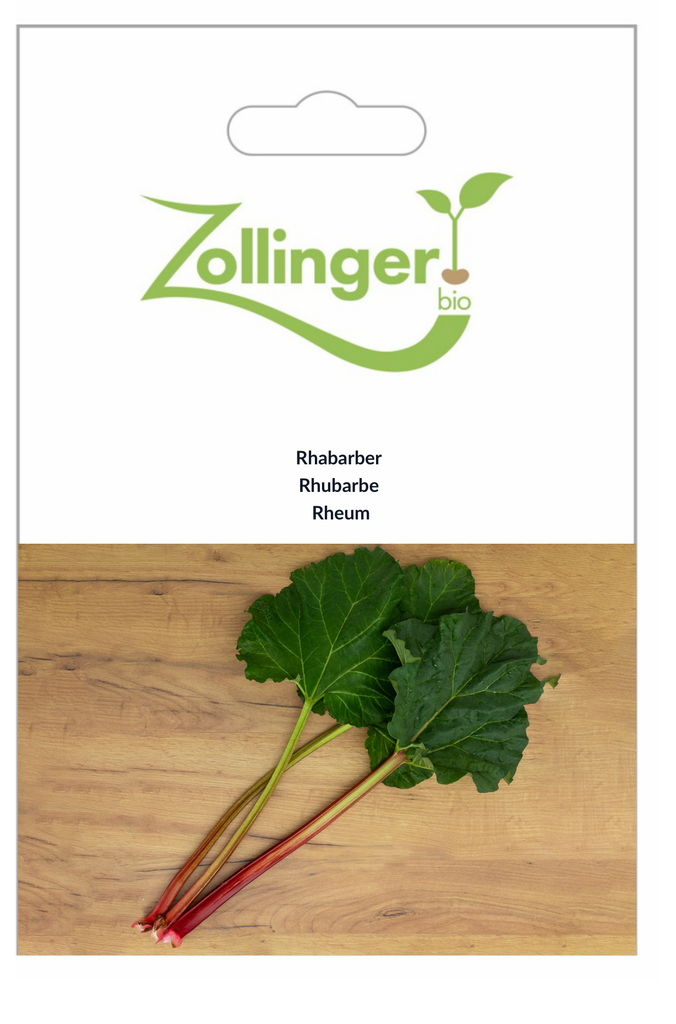 Sachet recto Rhubarbe 