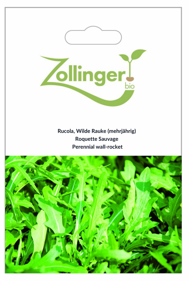 Sachet recto Roquette Sauvage